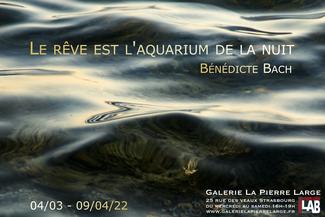 Le rêve est l'aquarium de la nuit