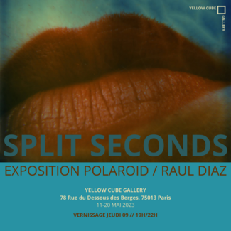 Split seconds, Exposition Polaroïd Raul Diaz