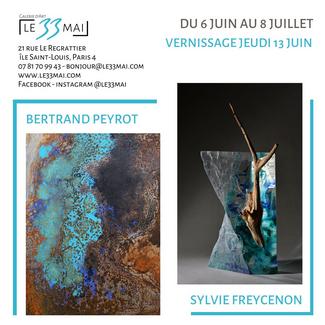 Exposition Bertrand Peyrot et Sylvie Freycenon