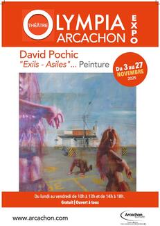 David Pochic Peintures