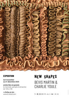 Affiche de l'exposition New Shapes de Bevis Martin & Charlie Youle
