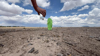Donner un verre d'eau au désert chaque jour