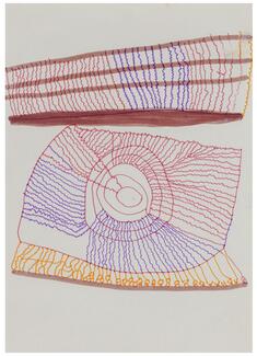 Taniki Yanomami, Untitled, 1978, Bruce Albert Collection, Montevideo. Photo: Filipe Berndt