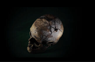 Maya Watanabe, Bullet, single-channel video installation, 2021 (video frame) 