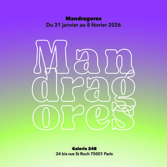 Mandragores sur fond dégradé