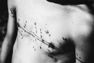 Résurgence, de la série Family Affair, ©Aimée Hoving