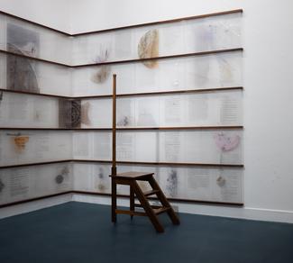 Jitish Kallat - Lunar Redux - Photo © Akik Rahaman