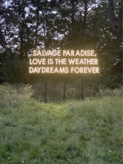 Robert Montgomery, Salvage Paradise, Courtesy Danysz Gallery