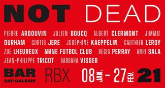 Not dead | Pierre Ardouvin, Julien Boucq, Albert Clermont, Jimmie Durham, Curtis JerÃ©, JosÃ©phine Kaeppelin, Gauthier Leroy, ZoÃ© Lheureux, NÃ¸ne Futbol Club, RÃ©gis Perray, Anri Sala, Jean-Philippe Tricot et Barbara Visser