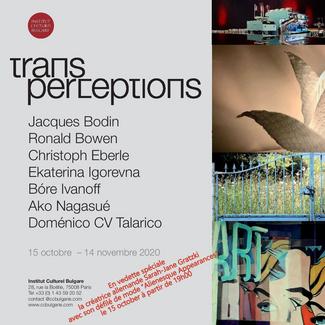 Transperceptions, l'Affiche de l'exposition