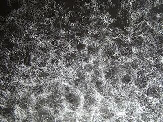 visualisation_musicale_du_morceau_chant_de_vision_i-thomas_leclere-d_galerie visualisation_musicale_du_morceau_chant_de_vision_i-thomas_leclere-d_galerie