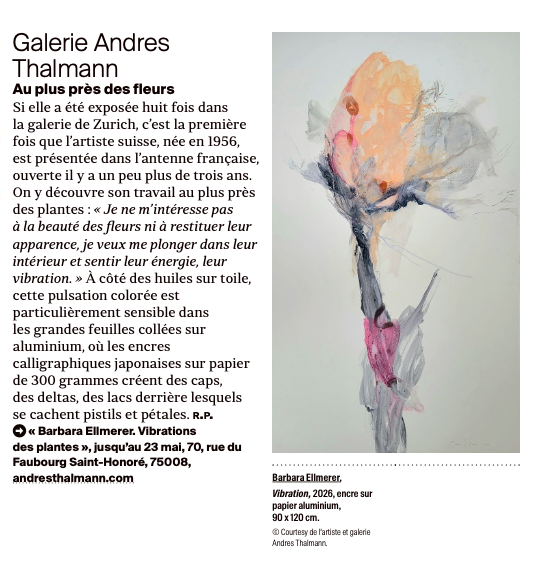Galerie Andres Thalmann: Au plus près des fleurs