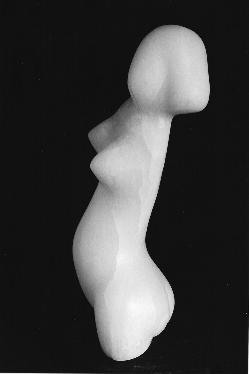 Photagraphie de profil de Sylphide