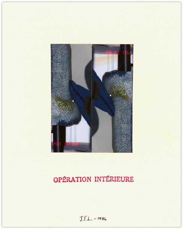 Catalogue raisonné, Jean-Jacques Lebel, Opération intérieure - 1986