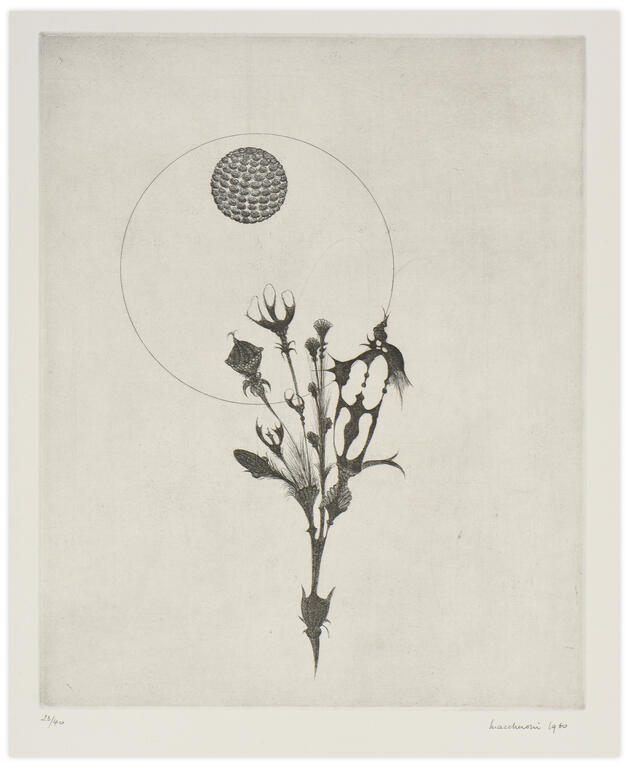 Catalogue raisonné, Henri Maccheroni, 