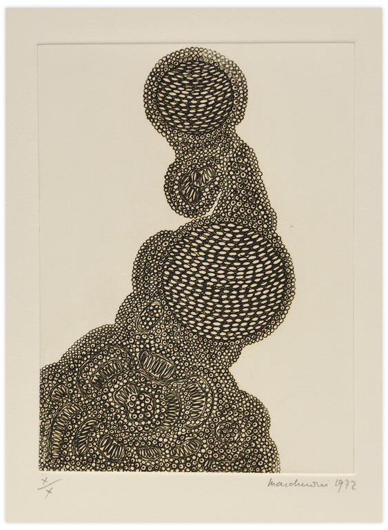 Catalogue raisonné, Henri Maccheroni, Phallucinations - 1972