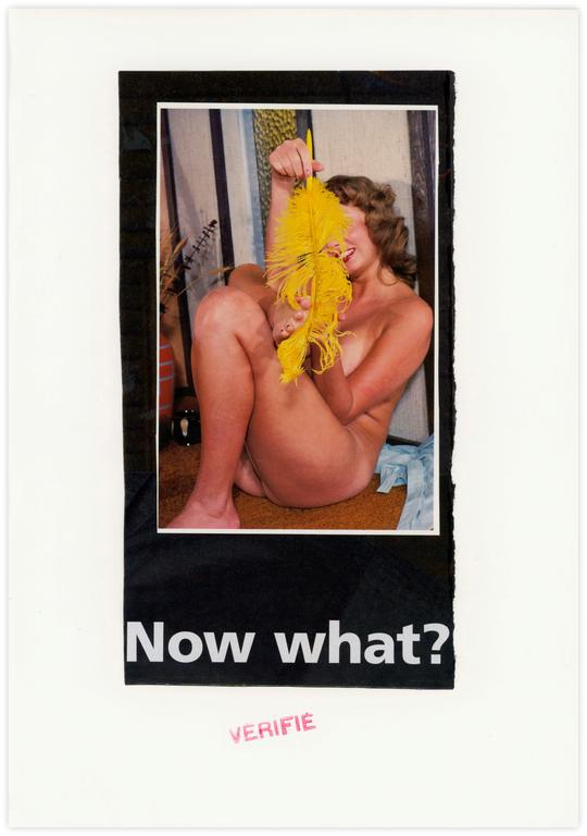 Catalogue raisonné, Jean-Jacques Lebel, San titre (pin-up à la plume jaune)