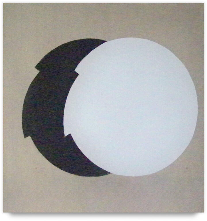 Catalogue raisonné, Joel Stein, 