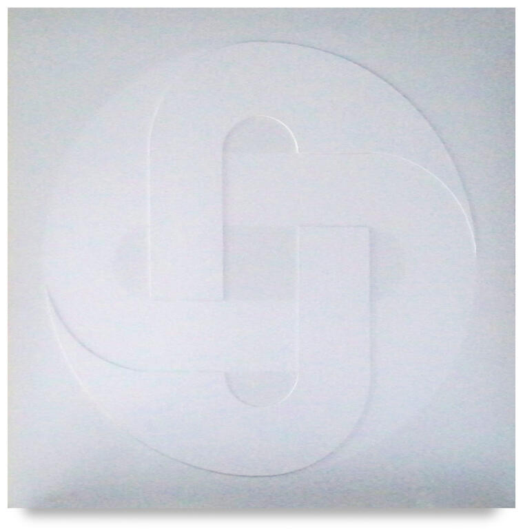 Catalogue raisonné, Joel Stein, 