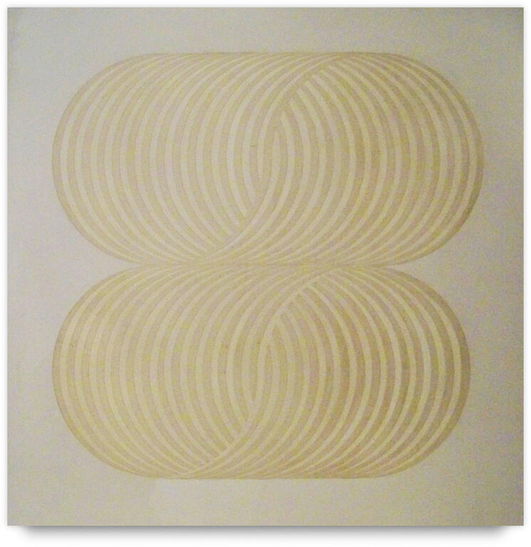 Catalogue raisonné, Joel Stein, 