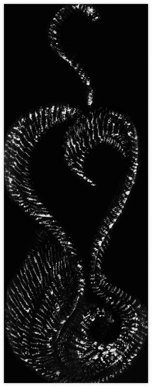 Catalogue raisonné, Jean-Jacques Lebel, Sans titre - 