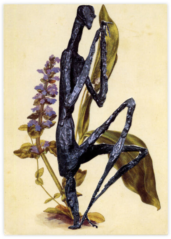 Catalogue raisonné, Henri Foucault, Double Jeu, Albrecht Dürer - 2022