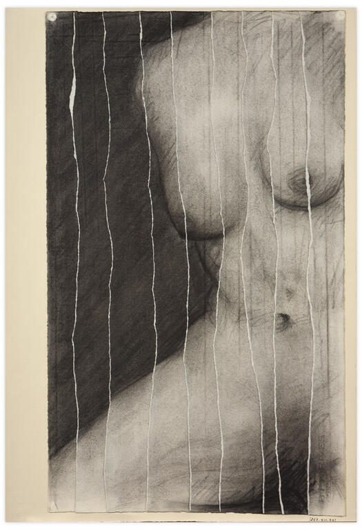 Catalogue raisonné, Henri Maccheroni, Nu déchiré, circa 1976