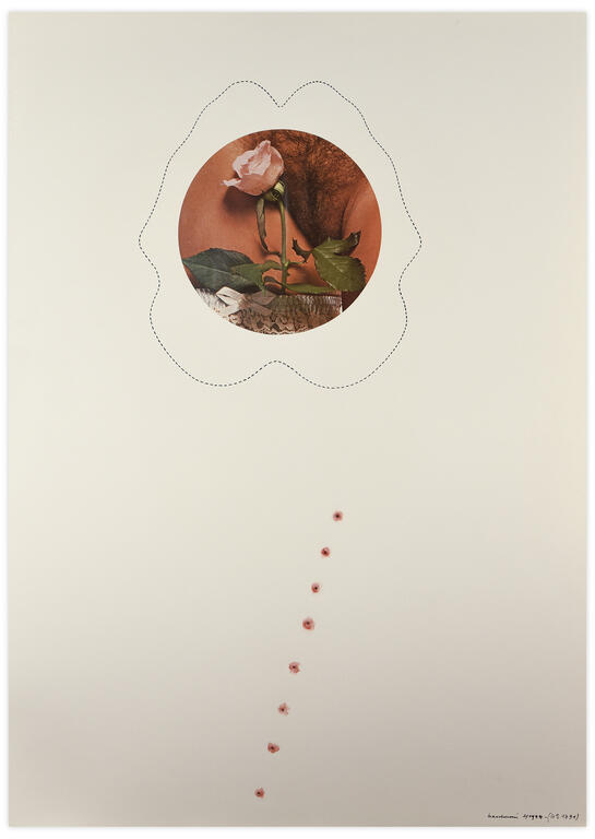 Catalogue raisonné, Henri Maccheroni, Hommage à Gina Pane, Série Les Actions pro-verbales - 1974