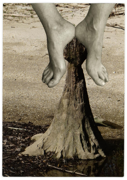 Catalogue raisonné, Henri Foucault, Double Jeu, Fayçal Baghriche - 2022