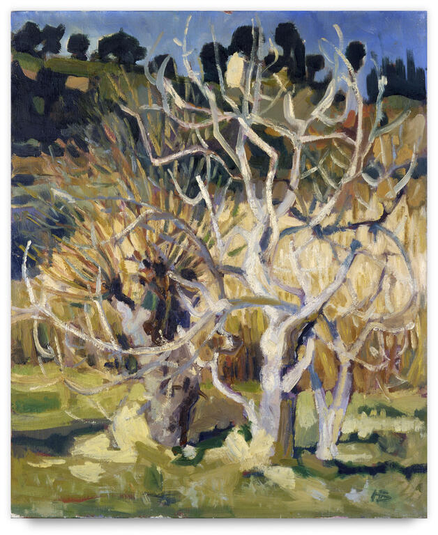 Catalogue raisonné, Henri Baviera, Figuiers au soleil — 1960