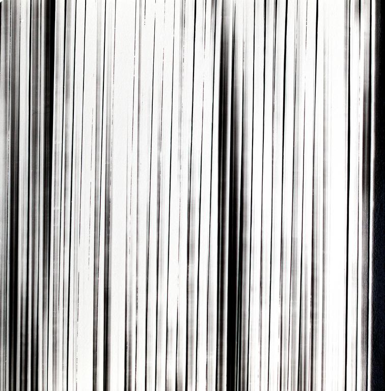 Catalogue raisonné, © Henri Foucault Studio, Lignes 25 - 1995