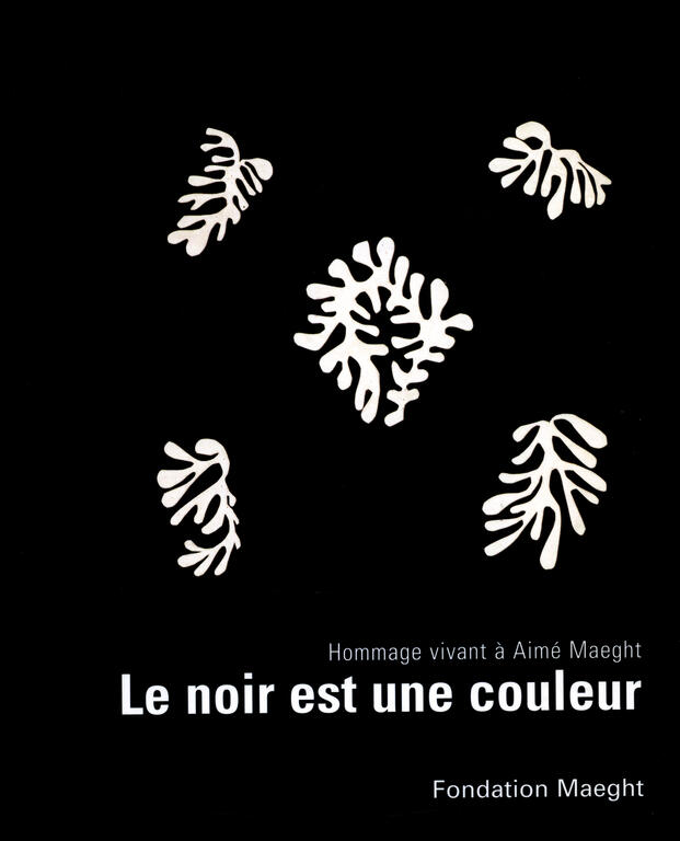 Visuel de l'exposition Le Noir est une couleur
