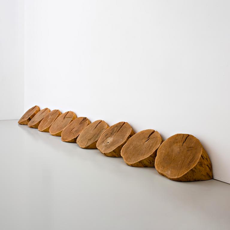 Catalogue raisonné, Toni Grand, sculpture Sans titre de 9 pièces de bois brut, 1980