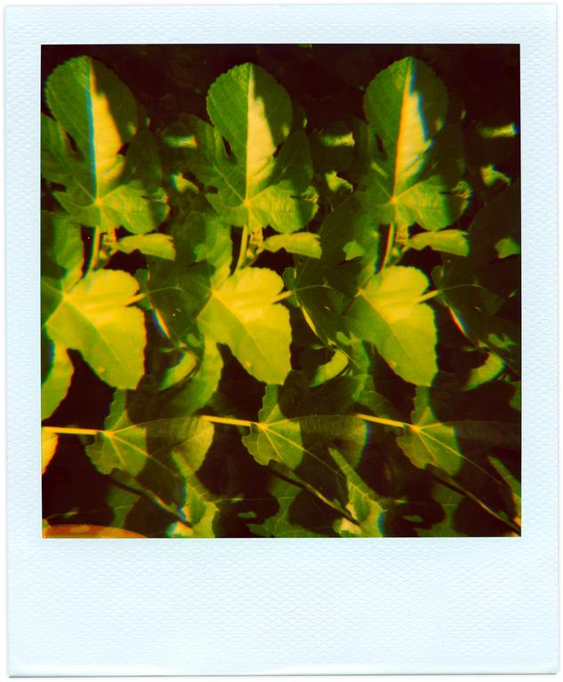 Catalogue raisonné, Henri Foucault, Pola-vibrations 17 - 2008