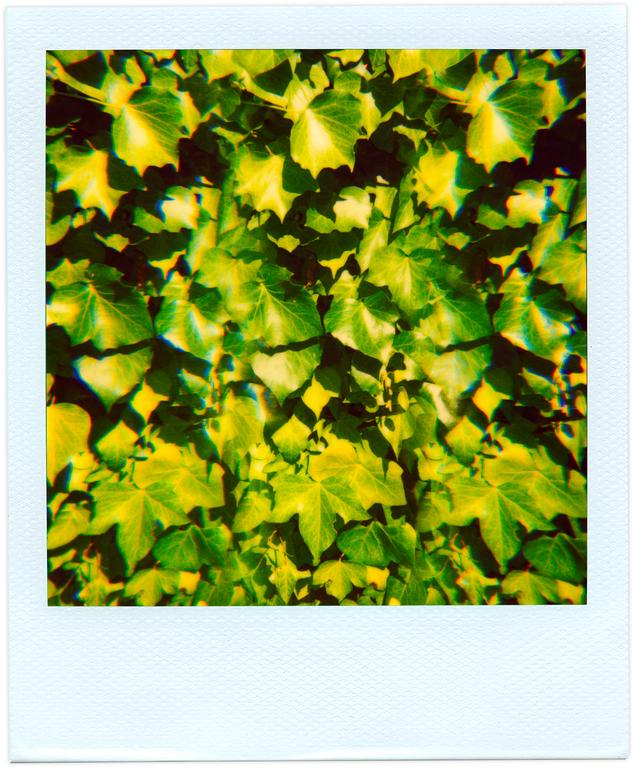 Catalogue raisonné, Henri Foucault, Pola-vibrations 26 - 2008