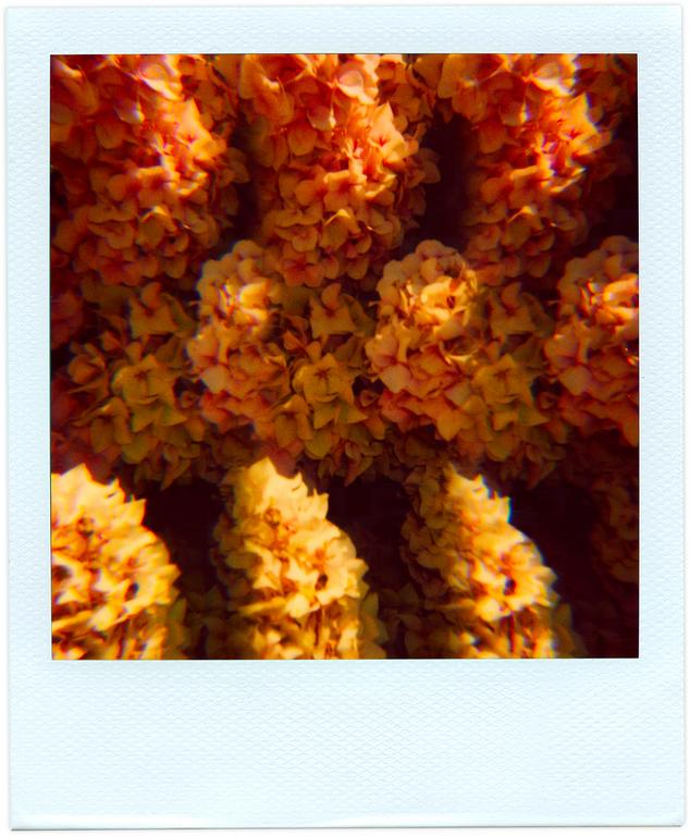 Catalogue raisonné, Henri Foucault, Pola-vibrations 27 - 2008