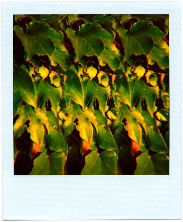 Catalogue raisonné, Henri Foucault Pola-vibrations 30 - 2008