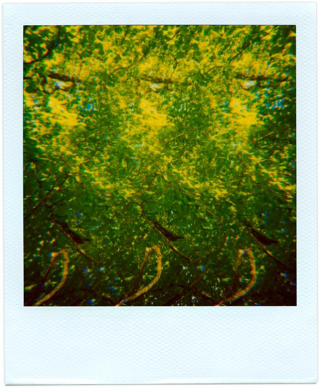 Catalogue raisonné, Henri Foucault Pola-vibrations 31 - 2008
