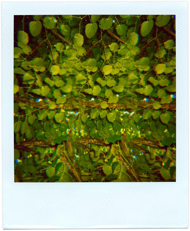 Catalogue raisonné, Henri Foucault Pola-vibrations 42 - 2008