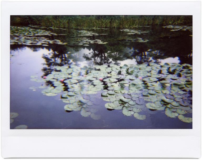 Catalogue raisonné, Henri Foucault, Giverny 10 - 2014