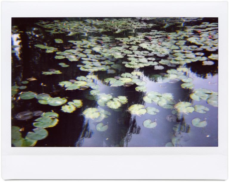 Catalogue raisonné, Henri Foucault, Giverny 11 - 2014