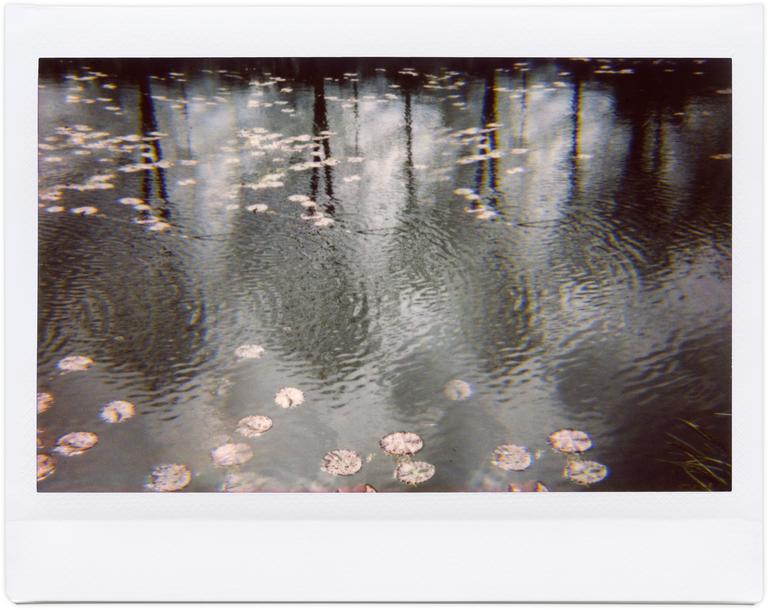 Catalogue raisonné, Henri Foucault, Giverny 17- 2012