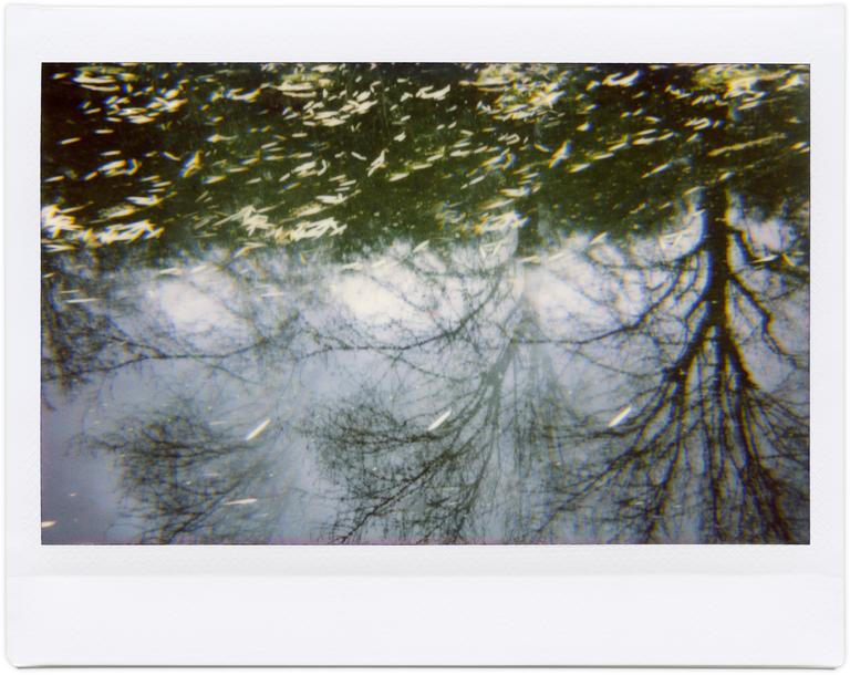 Catalogue raisonné, Henri Foucault, Giverny 25 - 2012