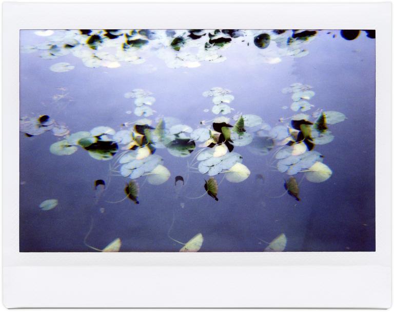 Catalogue raisonné, Henri Foucault, Giverny 27 - 2014