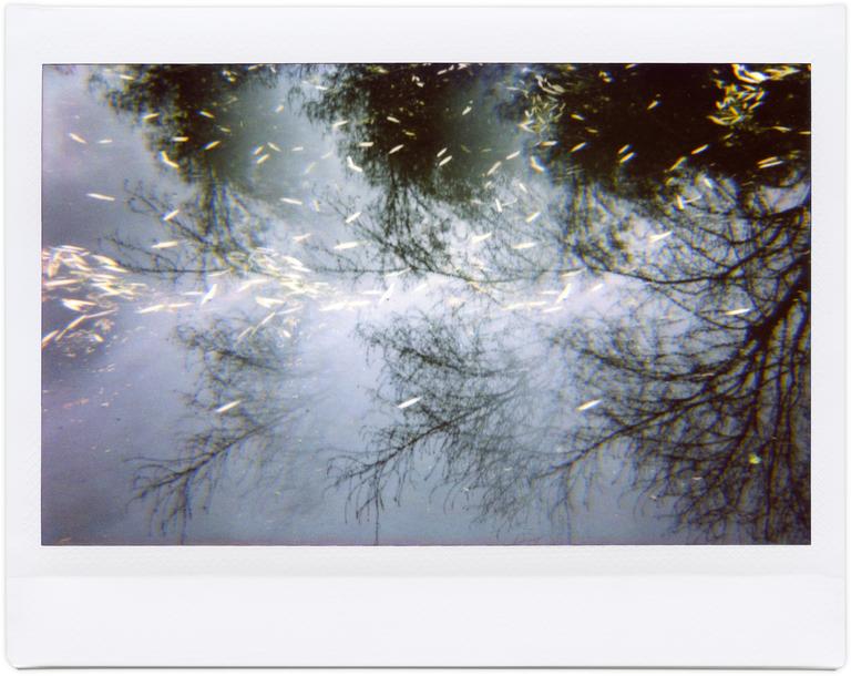 Catalogue raisonné, Henri Foucault, Giverny 28 - 2012