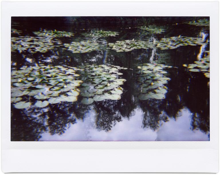 Catalogue raisonné, Henri Foucault, Giverny 36 - 2014