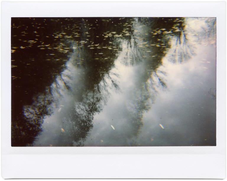 Catalogue raisonné, Henri Foucault, Giverny 3 - 2012