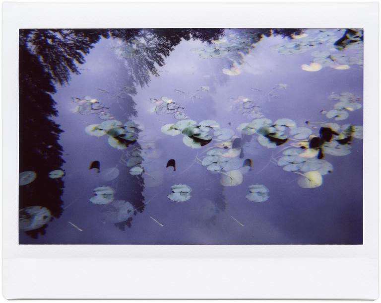 Catalogue raisonné, Henri Foucault, Giverny 40 - 2014