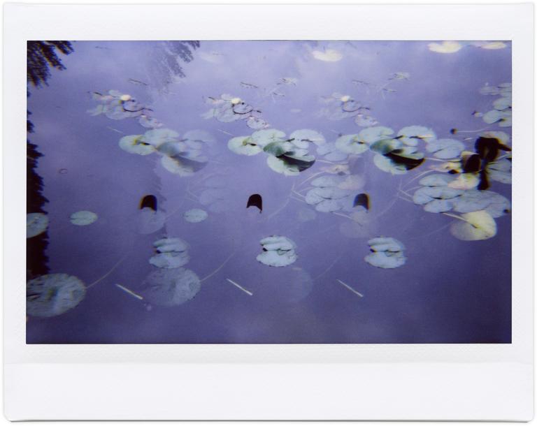 Henri Foucault, Giverny 46 - 2014