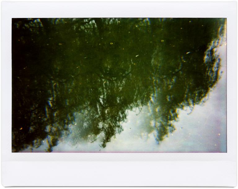 Catalogue raisonné, Henri Foucault, Giverny 4 - 2012